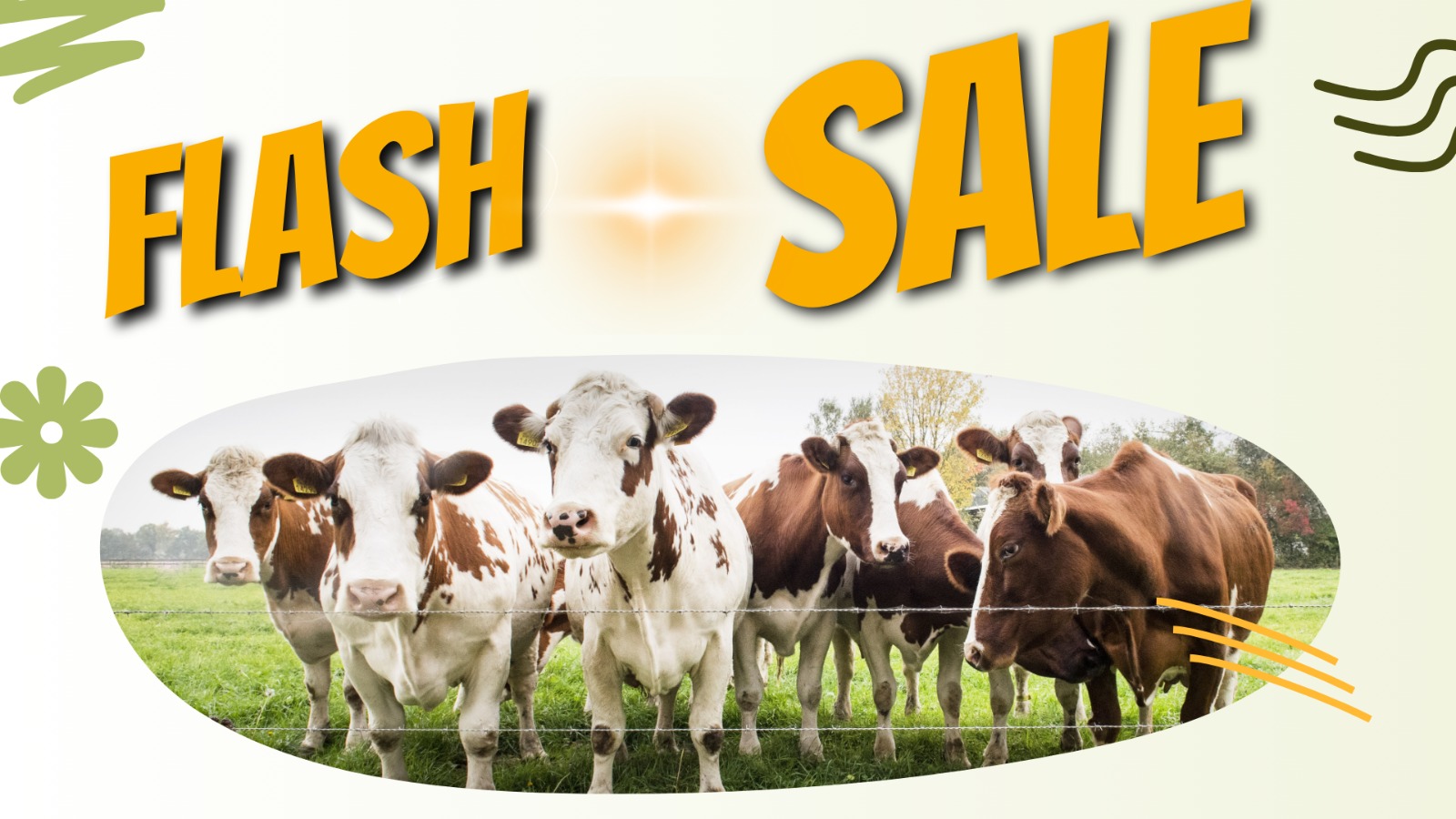 WhatsApp Image 2025 11 18 At 13.23.30 205eb257